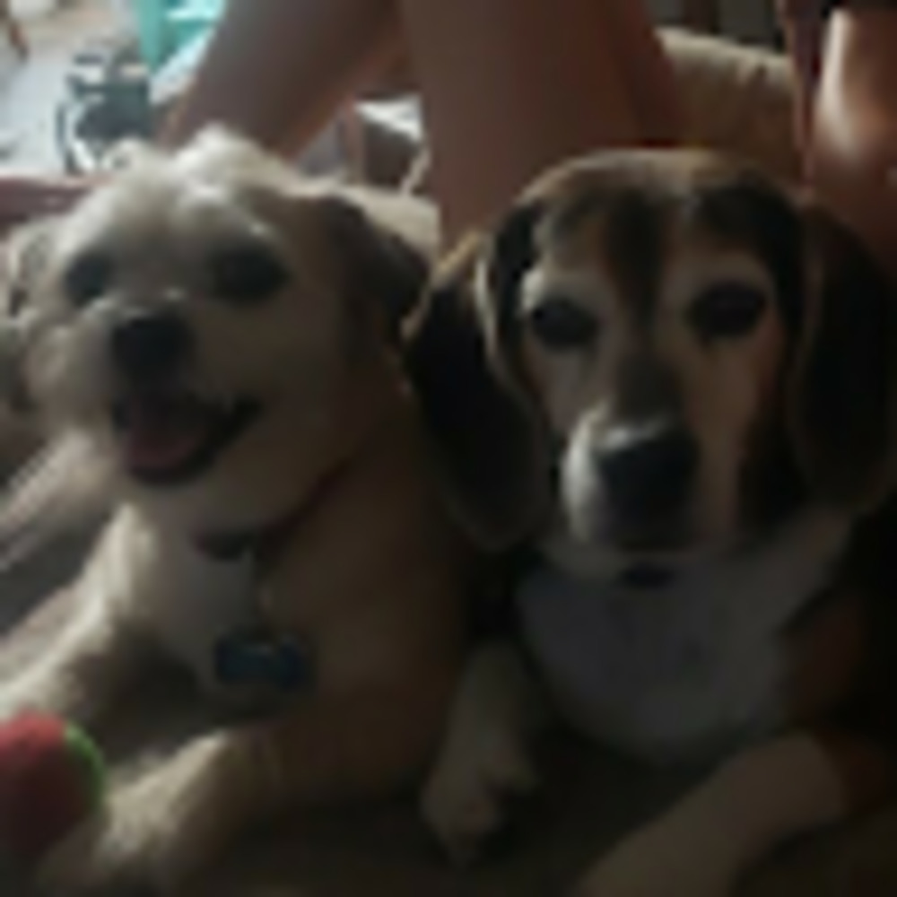 Meet your Posher, Valerie